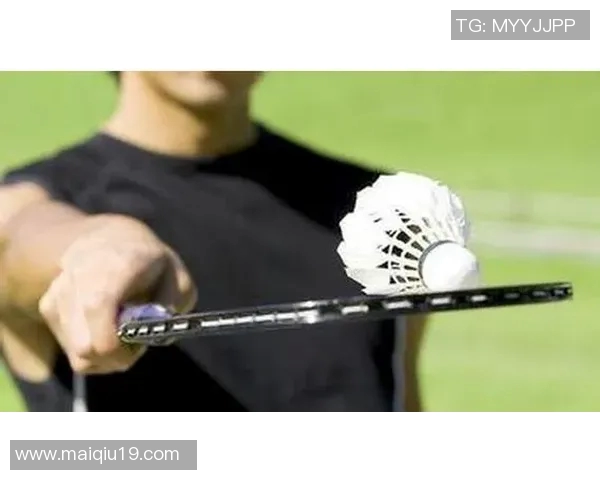 羽毛球新手必看入门攻略全面提升你的技术与意识技巧