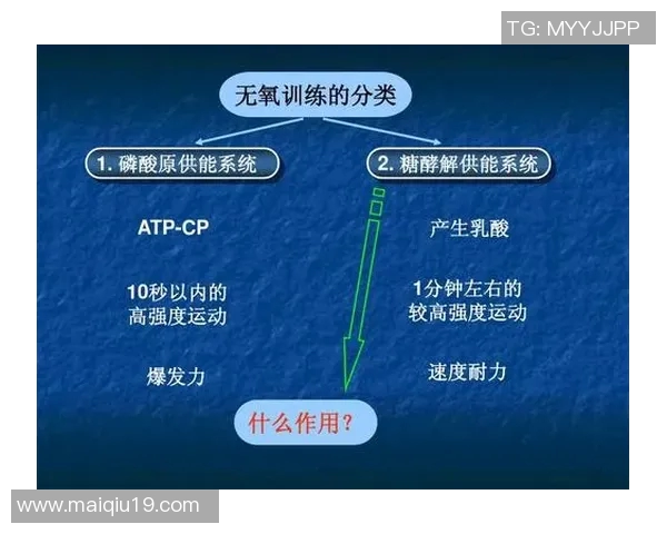 广州羽毛球队区域防守体系与羽毛球战术在欧冠足球中的应用探讨