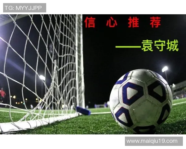 南京羽毛球队耐力与欧冠足球队伍的深度对比分析