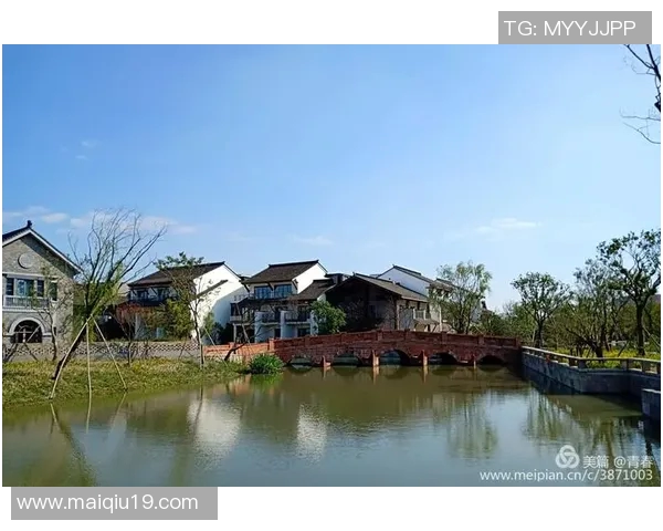 探寻上海排球队的力量与荣耀揭开排球巨献的神秘面纱 探寻上海排球队的力量与荣耀揭开排球巨献的神秘面纱