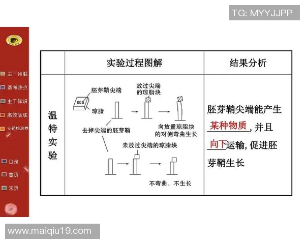 重庆篮球队节奏分析：优劣势及其对比赛结果的影响探讨
