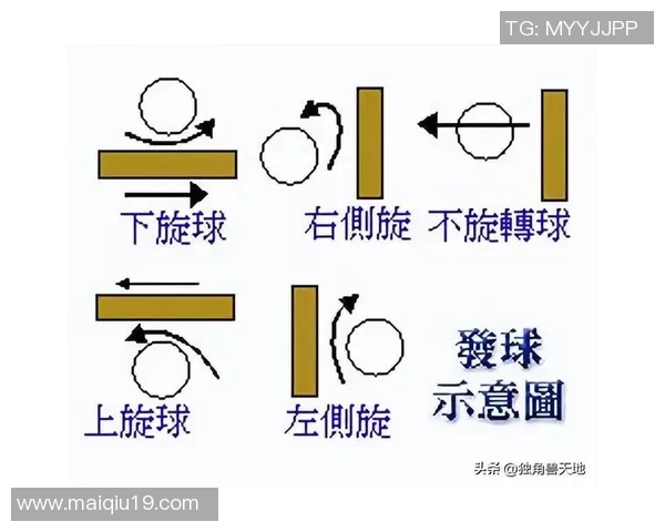 乒乓球新手必看技术入门指南轻松掌握基础技巧与训练方法