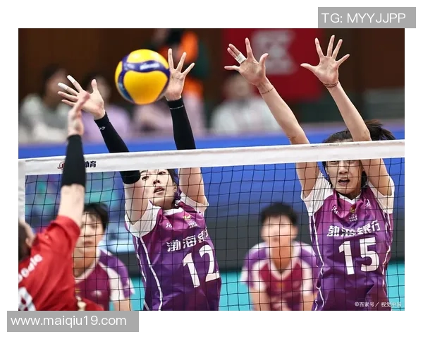 体育实时数据成都排球队状态分析与展望聚焦排球赛事中的表现与挑战