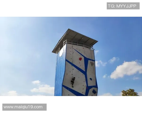 运动数据科学攀岩状态训练方法探索与实践提升攀岩表现的有效策略